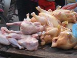 Loại gà thế giới thải bỏ, ở nước ta giá đắt ngang đặc sản-3