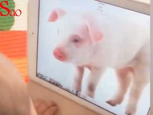 Màn dạy con bá đạo nhất quả đất