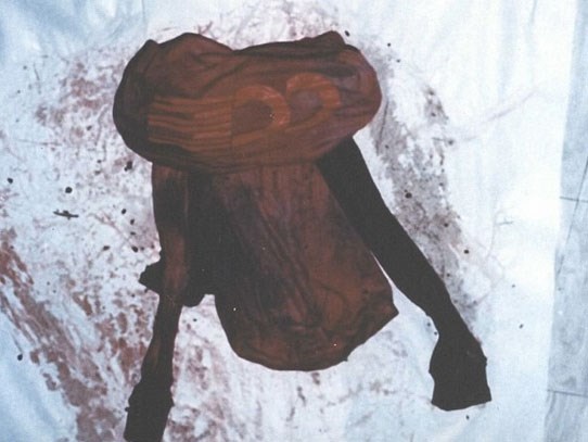 Mỹ: Những tấm ảnh 