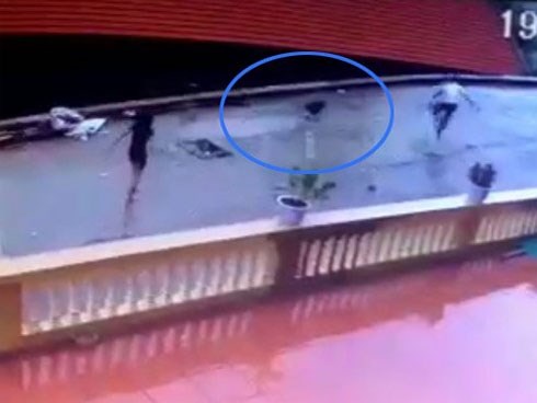 Hai người đi ô tô bắt trộm ngỗng