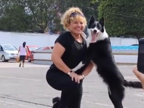 Chú chó thích chụp ảnh nhất thế giới