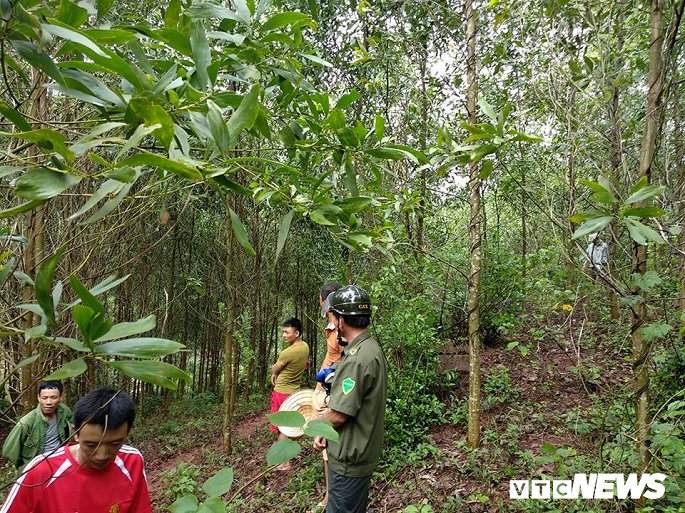 Ảnh: Hiện trường máy bay SU-22 rơi ở Nghệ An-3