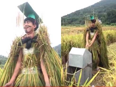 Khi bạn muốn làm vua nhưng bố mẹ bắt đi gặt