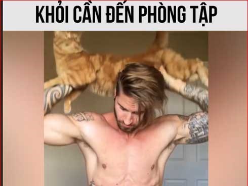 Cách tập gym đơn giản, hiệu quả