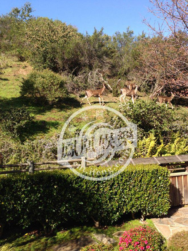 Chồng Lưu Hiểu Khánh: 30 năm nuôi mộng ôm nàng Võ Tắc Thiên, hồi sinh khi lấy vợ tuổi U80-16