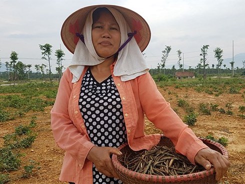 Hợp nhất HN: Không dám dựng vợ, gả chồng cho con vì dự án treo