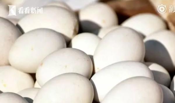 Người phụ nữ có gần trăm viên sỏi mật vì thường làm điều này buổi sáng-3