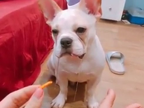 Khi đang giảm cân mà gặp đồ mình thích