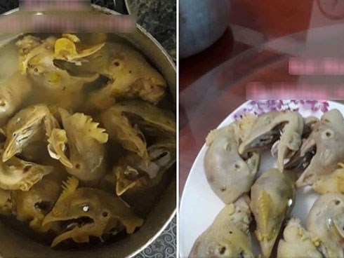 Khoe bố đảm vào bếp làm cơm nhưng mở vung nồi ra thì cả nhà hết hồn khi thấy thành quả