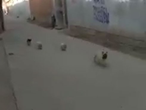 Sức mạnh của tập thể là đây