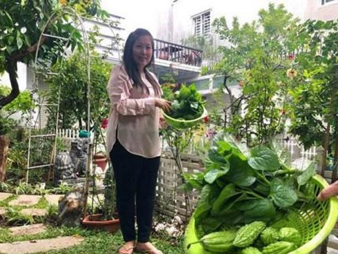 Ngắm vườn rau xanh mướt ai nhìn cũng mê của vợ chồng nghệ sĩ Hồng Vân - Lê Tuấn Anh
