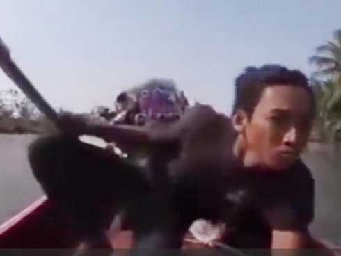 Khi bạn là tay đua nhưng lại phải đi lái thuyền