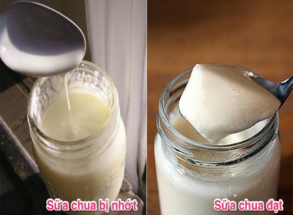 Cách làm sữa chua ngon mịn như ngoài hàng với nguyên liệu đơn giản-4