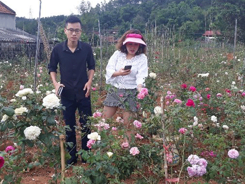 Vườn hồng vài nghìn gốc siêu quý 3000m2 của hot girl 8x Thái Nguyên-16