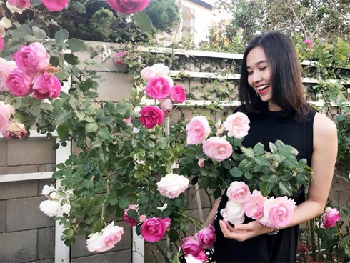 Khu vườn ngọt ngào với hoa hồng và cây trái sai trĩu trên đất Mỹ của Hoa hậu Dương Mỹ Linh