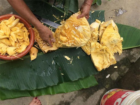 Nàng dâu hậm hực mẹ chồng vì quả mít, tố bà đem hết đồ ngon ở nhà ra chợ bán, hội chị em phán thế này