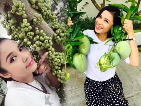Thăm nhà vườn yên bình đủ loại rau trái sai trĩu của