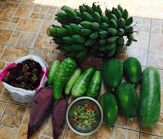 Thăm nhà vườn yên bình đủ loại rau trái sai trĩu của Người đẹp Tây Đô Việt Trinh-9