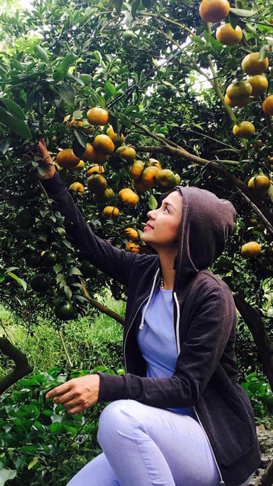 Thăm nhà vườn yên bình đủ loại rau trái sai trĩu của Người đẹp Tây Đô Việt Trinh-11