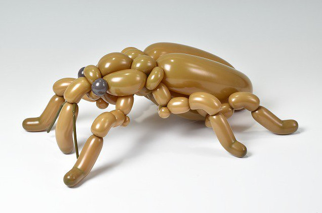 9X Nhật Bản tạo hình động vật từ bóng bay giống y như thật-3