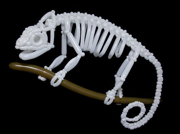 9X Nhật Bản tạo hình động vật từ bóng bay giống y như thật-7