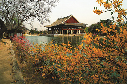 3 lý do nhất định phải du lịch mùa Thu này-1