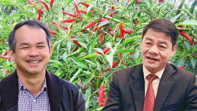 Đơn kêu cứu của nữ hoàng, lời cầu khẩn tha thiết của vợ Đặng Lê Nguyên Vũ-2