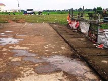 Ẩu đả, đâm chết người ở hội trại hè Ẩu đả, đâm chết người ở hội trại hè