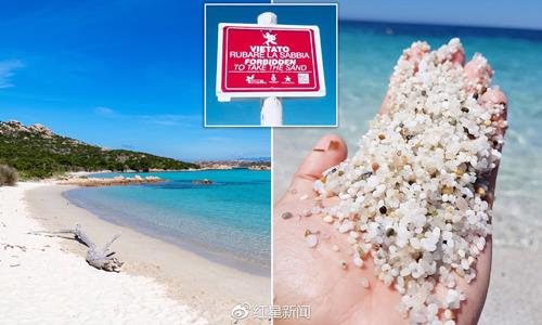 Nhúm cát có giá chục triệu, du khách đua nhau trộm mang về-1