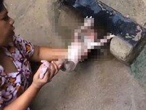 Nghe tiếng khóc kỳ lạ dưới cống thoát nước, người phụ nữ không ngờ cứu được một mạng người Nghe tiếng khóc kỳ lạ dưới cống thoát nước, người phụ nữ không ngờ cứu được một mạng người