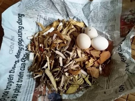 Sự thật chuyện 'con ma thuốc độc' hại người ở Quảng Bình