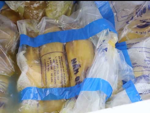 Cận cảnh 5 tấn nấm nhập lậu bốc mùi hôi thối bị tiêu hủy trong một tích tắc