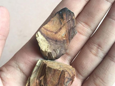 Giải mã bí mật tại sao gỗ sưa đắt hơn vàng-4