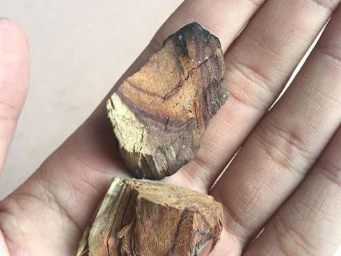 Đại gia 15 năm buôn gỗ sưa bị lừa mất trắng bạc tỷ