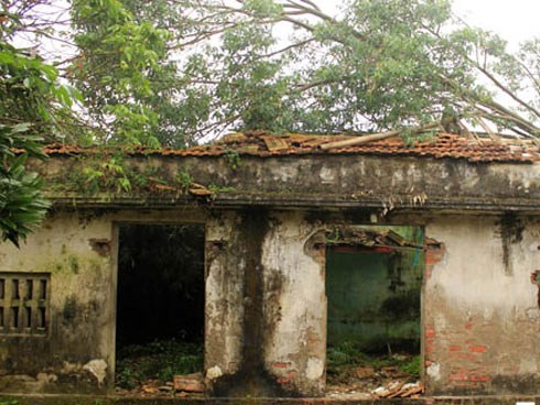 Ngôi nhà bí ẩn ở Thái Bình: Lợn, gà, vịt tự dưng ‘hóa rồ’ rồi lăn đùng ra chết