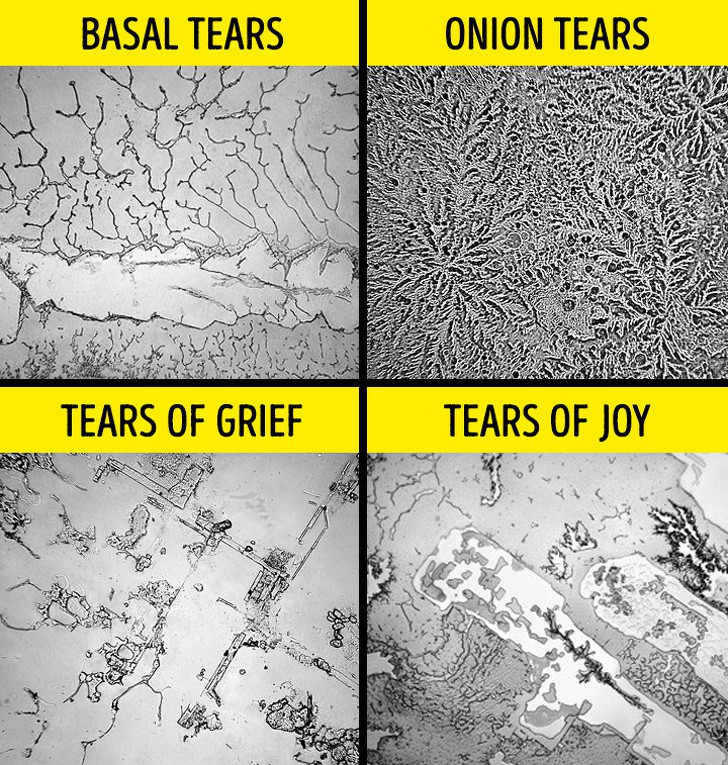 Sự thật thú vị lẫn kinh hoàng về chính mình khiến bạn phải ngỡ ngàng-3