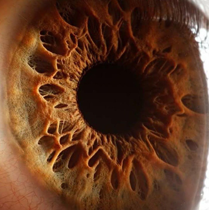 Sự thật thú vị lẫn kinh hoàng về chính mình khiến bạn phải ngỡ ngàng-4