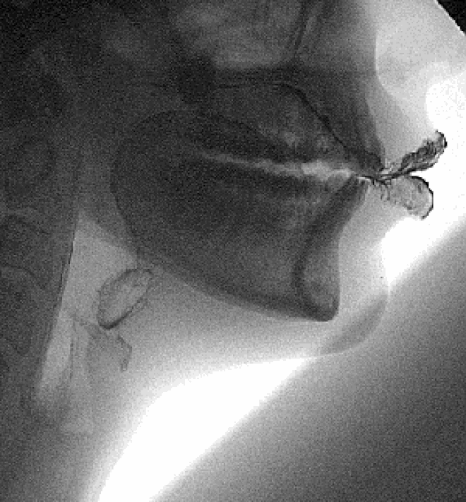 Sự thật thú vị lẫn kinh hoàng về chính mình khiến bạn phải ngỡ ngàng-1
