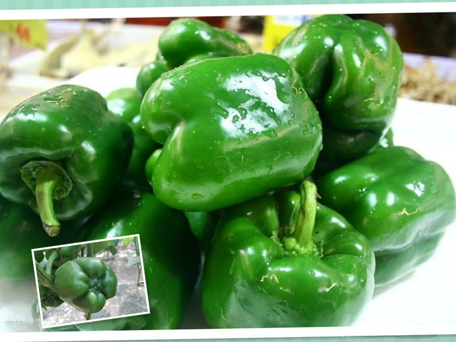 Trái cây rẻ tiền trong vườn Việt được Đông y coi là quả sát thủ tiêu diệt tế bào ung thư-4