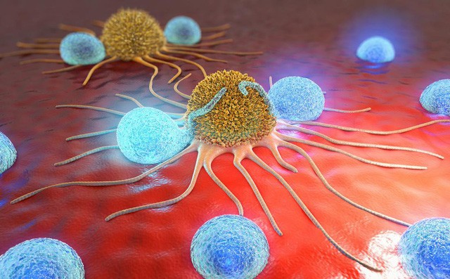 10 giải pháp phong tỏa tế bào ung thư: Nếu muốn phòng bệnh hiệu quả, hãy tham khảo ngay-1