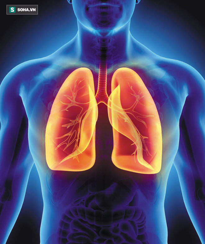 10 thực phẩm tốt cho phổi: Người Việt thường ăn 4 loại đầu tiên, ít ai biết cái số 5-1