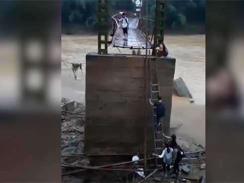 Thót tim cảnh học sinh Phú Thọ leo thang tre qua cầu chờ sập đi học