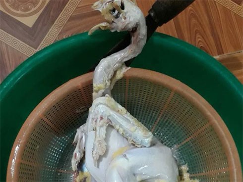 Đến ra mắt nhà vợ tương lai, chàng con rể
