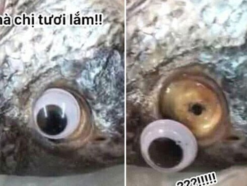 Tìm ra danh tính bà bán hàng có màn lừa bán cá ươn đỉnh cao khiến dân mạng 