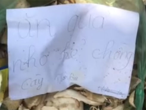 Khoe bonsai giá đỗ sau một ngày để quên, dân mạng chỉ ra điều kì lạ đáng sợ-5