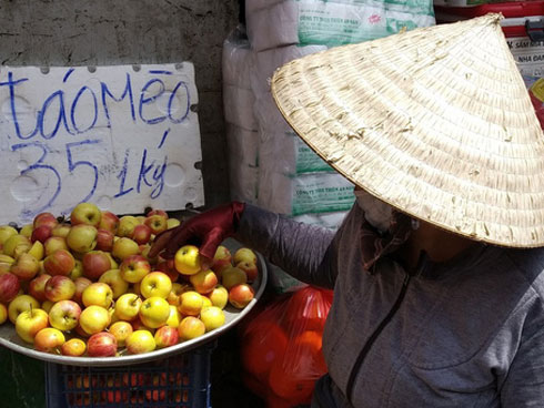 Táo mèo vào vụ, chị em rước cành trĩu quả về cắm chơi-7