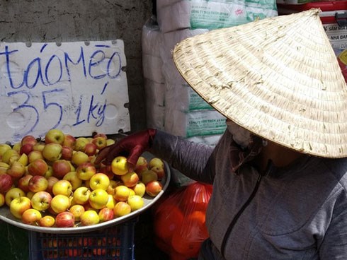 Táo mini Trung Quốc đội lốt 'táo mèo' Hà Giang