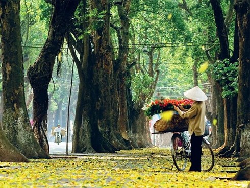 Ngày đầu tuần, dân Thủ đô sẽ vui mừng khi biết thông tin này