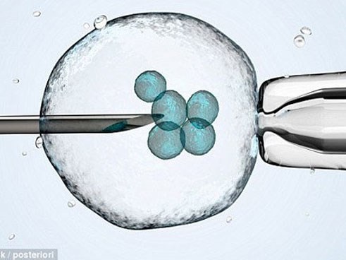 Bố mẹ lén lấy tinh trùng của con trai đã chết để tạo cháu nội