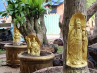 Kỳ lạ Miền Tây: Tượng Phật Di Lặc hiện hình trên cây khế già